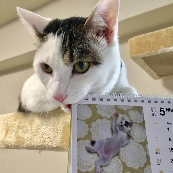 F96a6a48 2e67 404a b6ef 4b6b8d8662ed