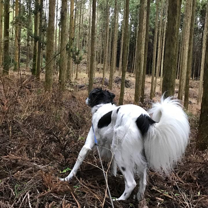 F96b0680 80b5 4704 9a28 a26597634d99