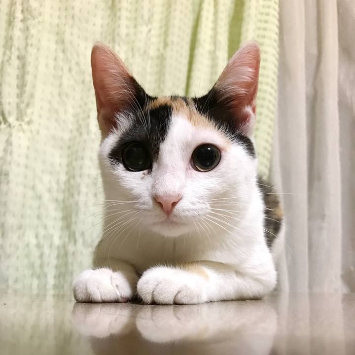 F96d1d26 67a3 4b96 910a 30cea4e400c6