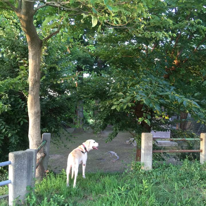 F96d7aa2 9f8f 4363 8452 b9adc7739463