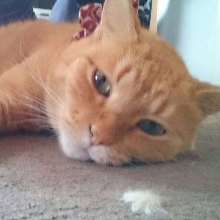 F96da8ab 1f72 4378 9466 0c965b7a48cb