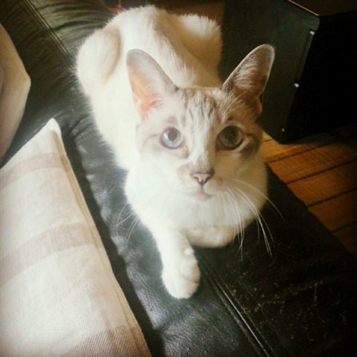 F96dbfe4 5bbe 470b 9b3c aaf37ad698bf