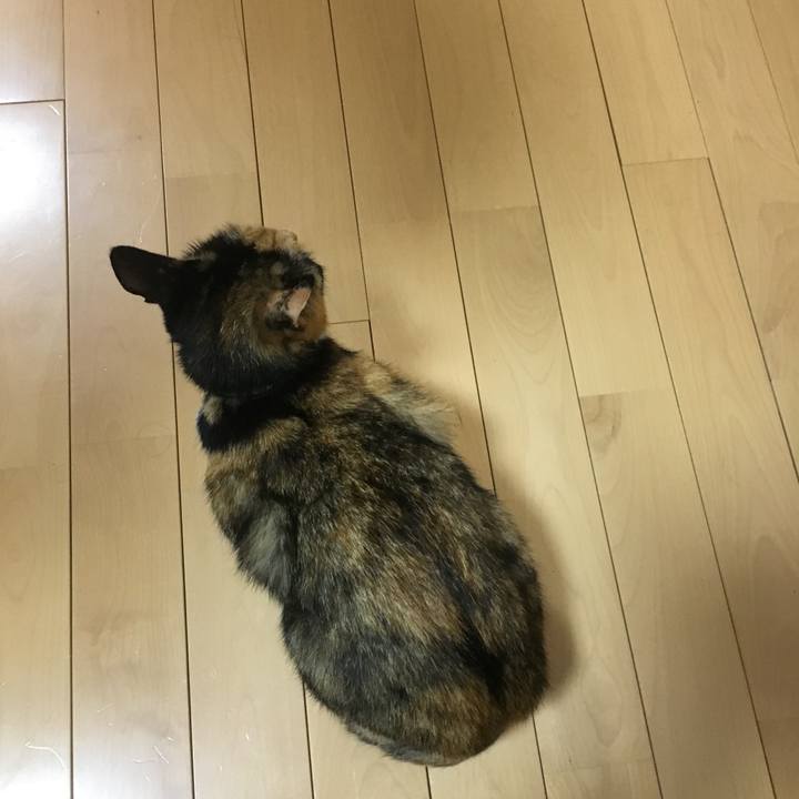 F96e58e6 a1e1 48c8 bc77 a54b14b1f15b