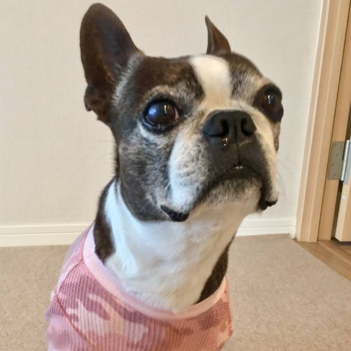 F96f1dd8 bc0f 42da bd1d ab3093bdbbb0