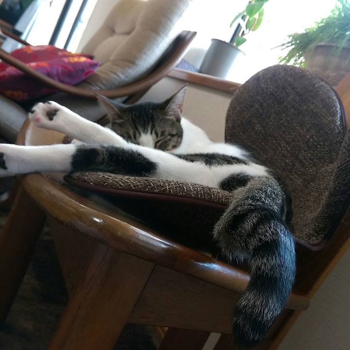 F970424f 47cb 4bdd a3a4 7cc1848c2655