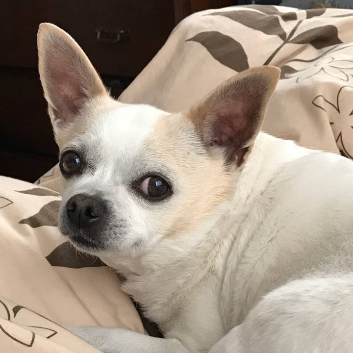 F9706064 1ec7 4d26 a652 c4d78bc2dcf5