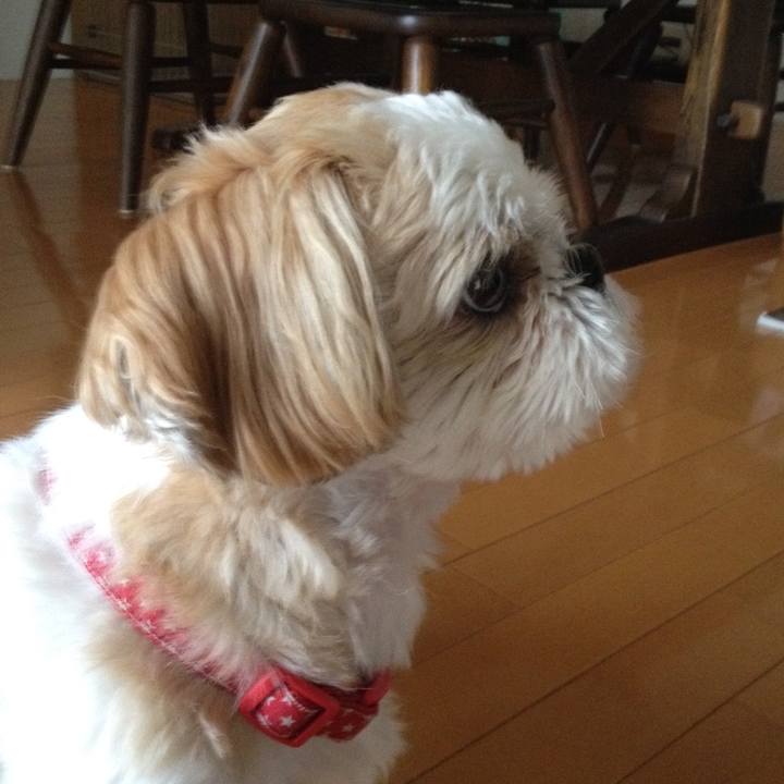 F971ce0a 499e 4b76 853e 22d0838638a4