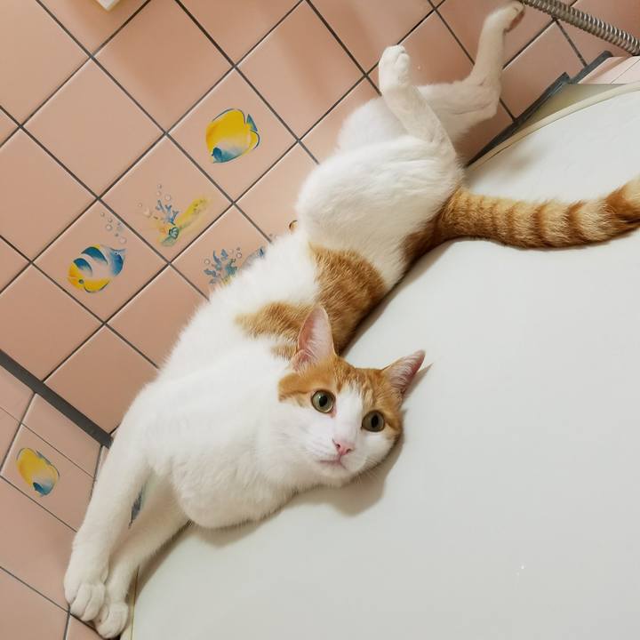 F971f8a2 6ead 4ecf 9cd3 8ed3e7ac2b6a