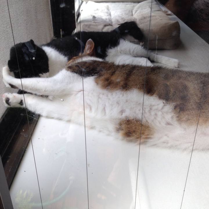 F9728fac 3a1f 41a3 a0ba cc58c28f980a