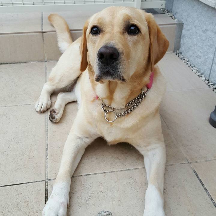 F9729168 0f3f 4473 baca ab572832df63