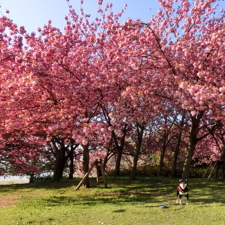 F97348a9 65c9 45fb ae66 cd6b510e70e5