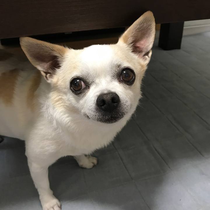 F97398bd bc26 4f3d ae39 b4dd54081ebe