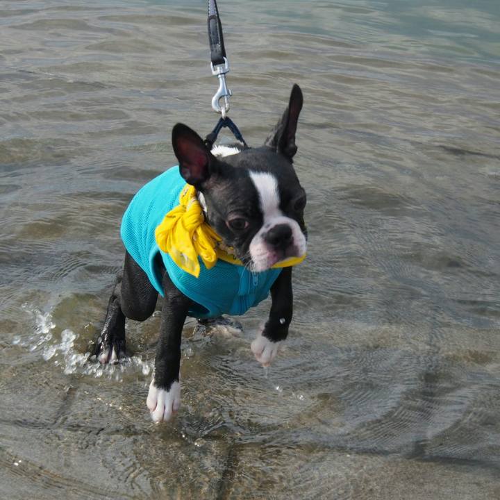 F973b628 df9d 4922 892e e4d957d6bff6