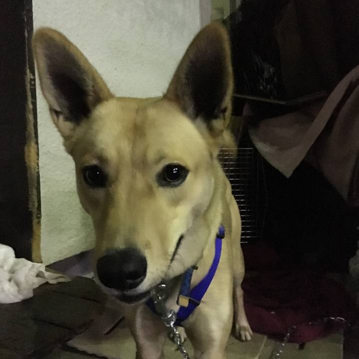 F973bd66 f838 477a a4ac 9ff9977acd1d