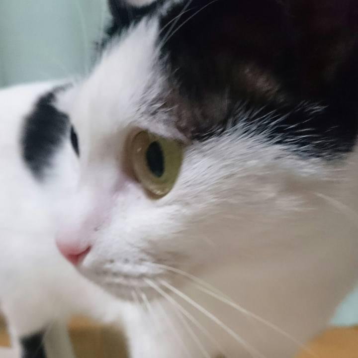 F973ec4e 0bae 4fcb 8cf0 dc82ec61ac8d