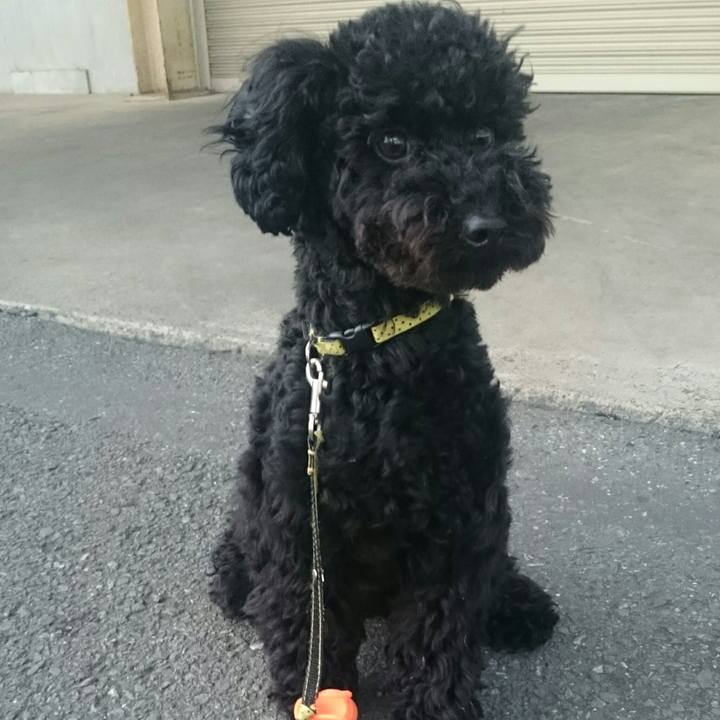 F9750330 b3cc 4cb4 8089 ee8cae096829