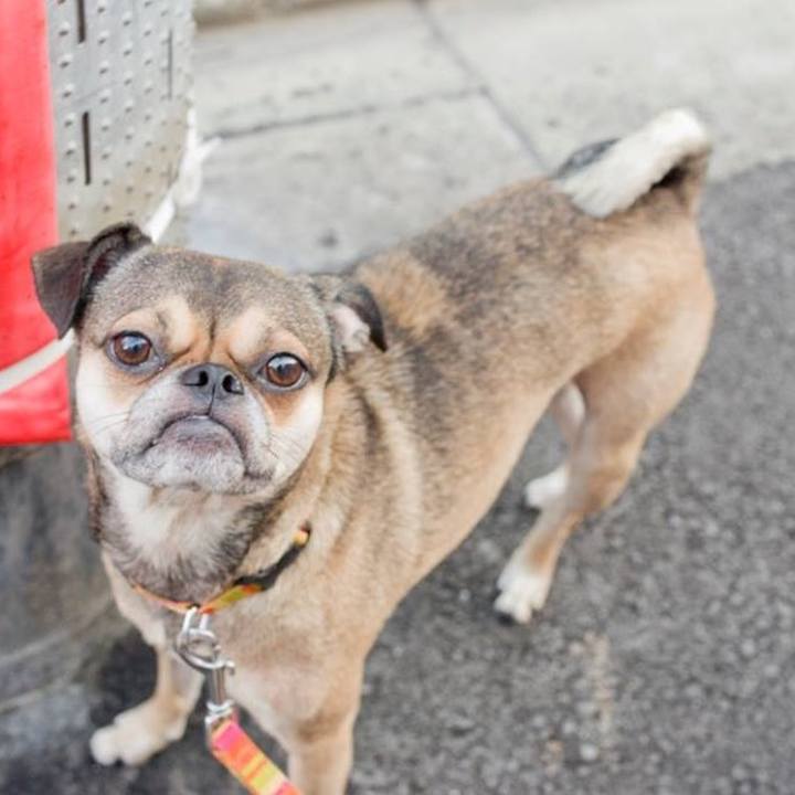 F9751d20 a24d 4d8e b8e7 35fe26aff98d