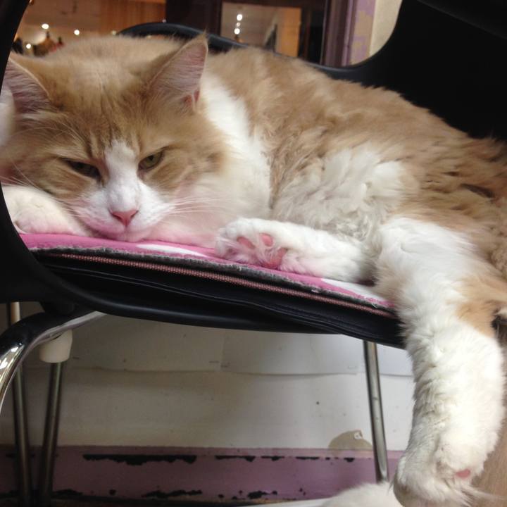 F97580b0 f22b 4037 9869 e74ca411536e