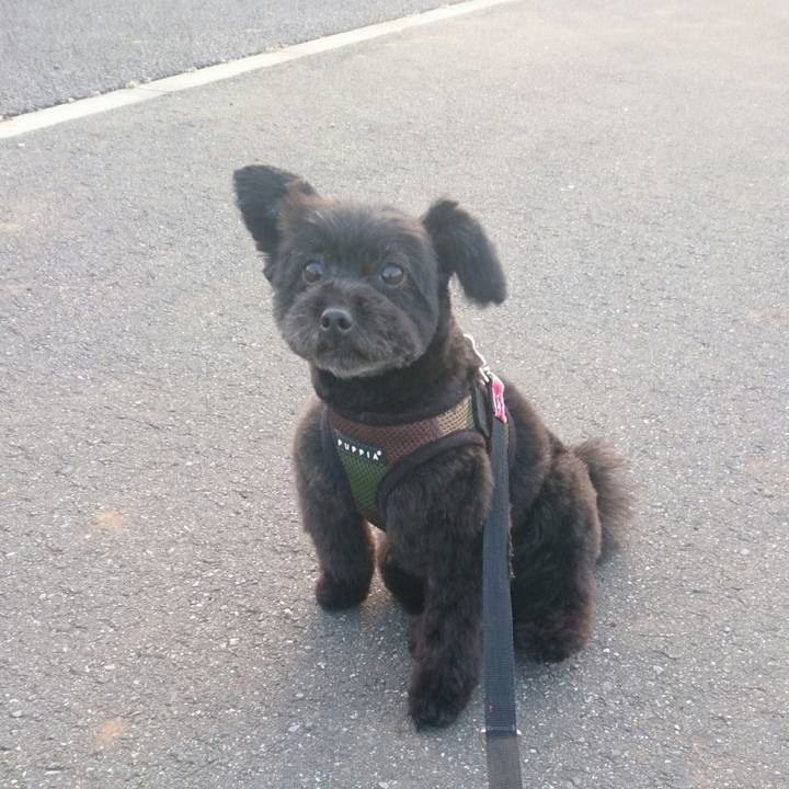 F97582b5 ff0b 4fb0 8970 5de3c21a9afb