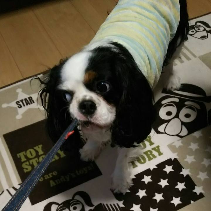 F975ead7 6ba9 4284 b8d1 6836bdefd9f9