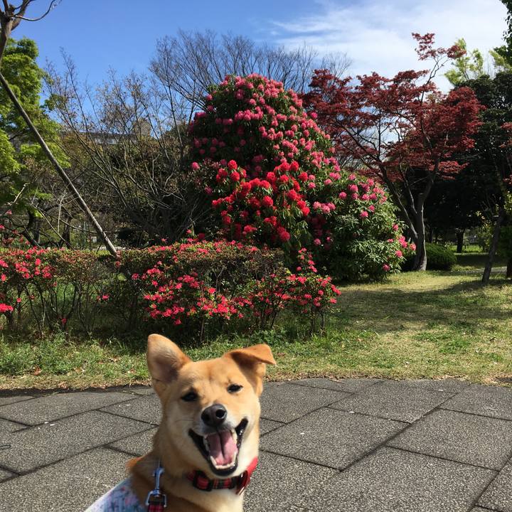 F97626b9 9f1f 4a14 84cb 2c743cf15e7d