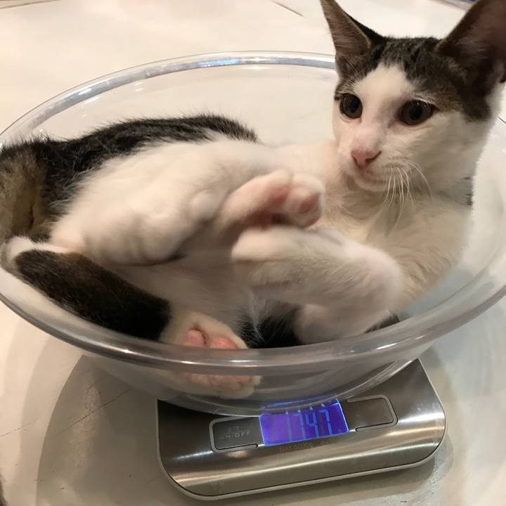 F977165b e1d2 4eff b573 b7f484fe9996