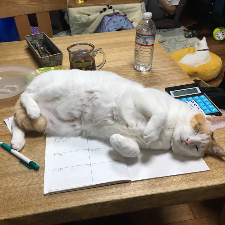 F977756e d73b 43e5 be6f 184c89b8e63d