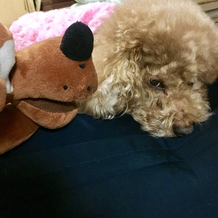 F977c302 72ee 4866 8e92 57e64ef95317