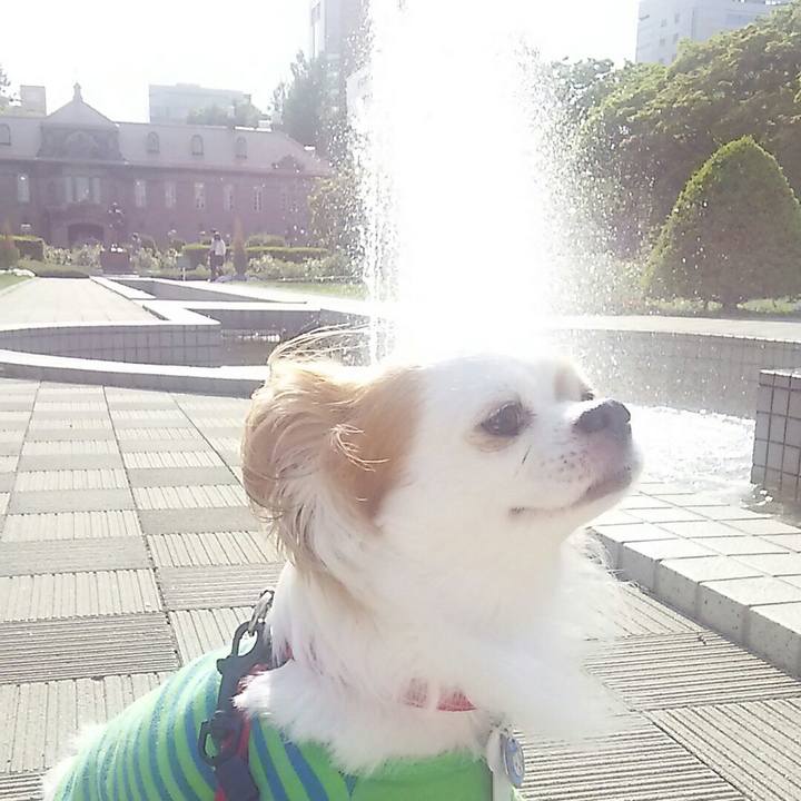 F9780193 4473 411d af1c a5de6165731a