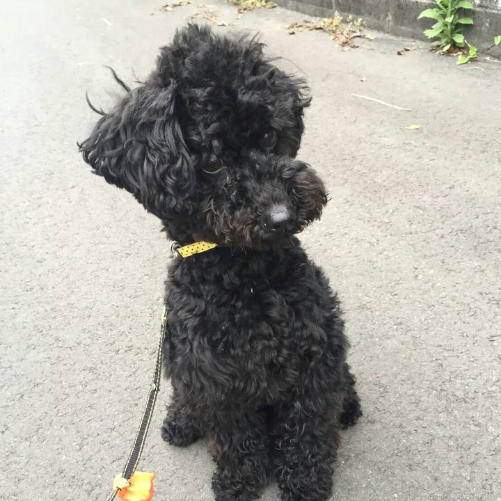 F97824ab 3a4a 45dd a50f 5e3fd1a8ee16