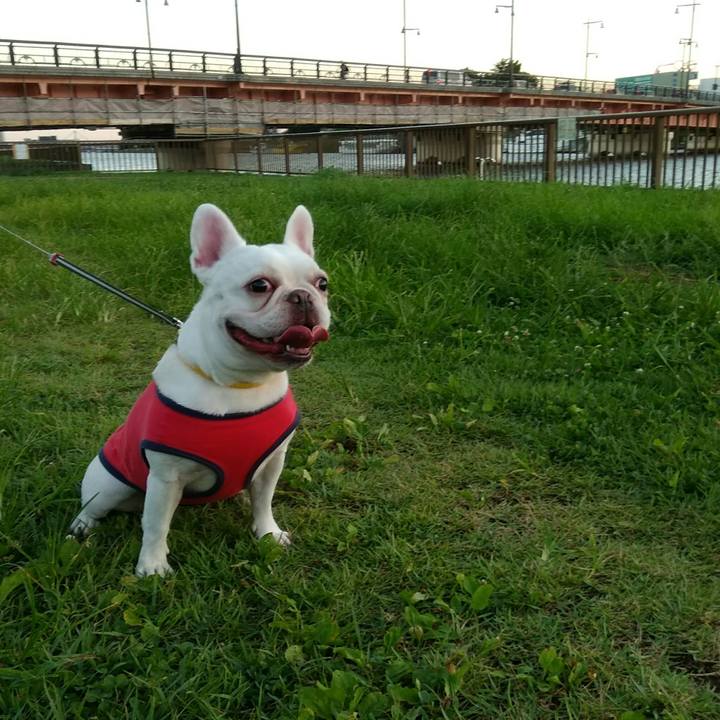 F97842f9 acc8 4ec2 a6c1 6a37608c7e5d