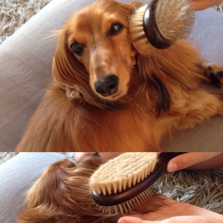 F978641f 3771 49d3 b6cc 032292318902