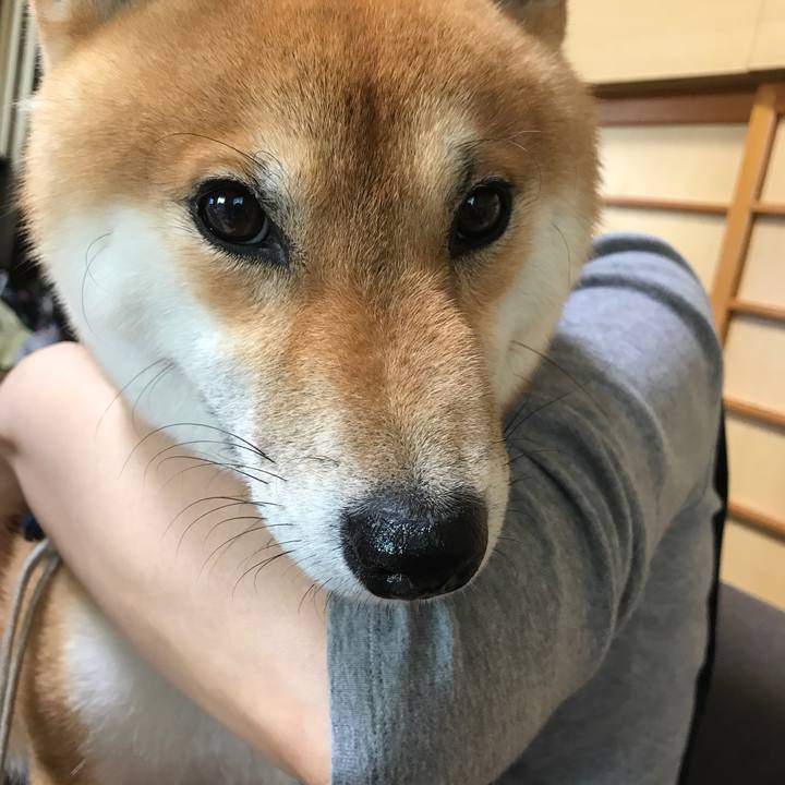 F978da74 84a1 4d27 8af6 60d8a8c9ea90