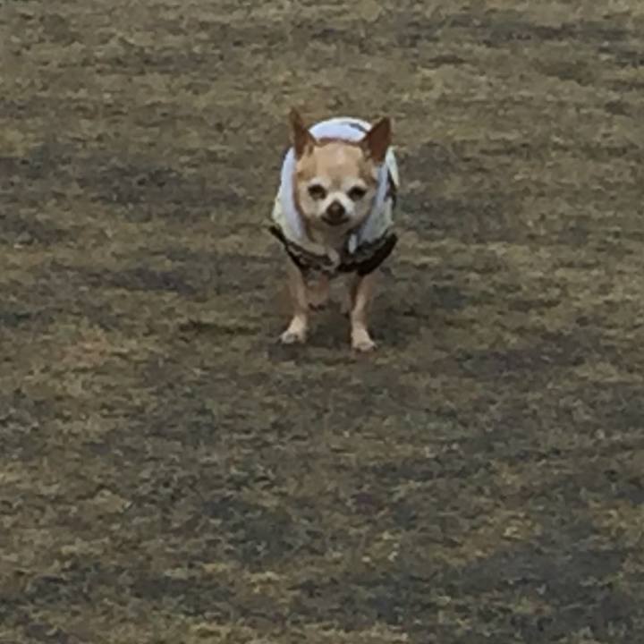 F978e333 42d7 412f 9694 baa6f22b0b8d