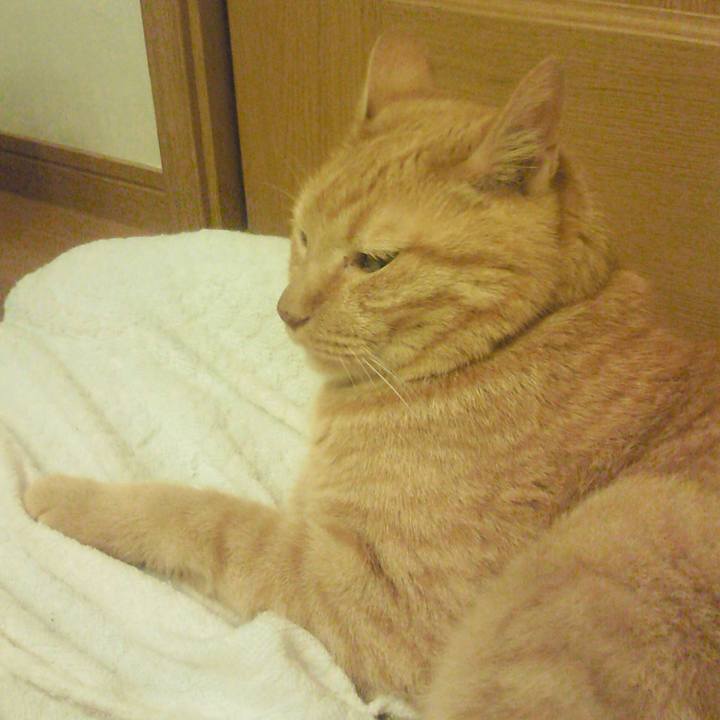 F9790a4b 8cbe 4e9d b815 d5e9ac72b14a