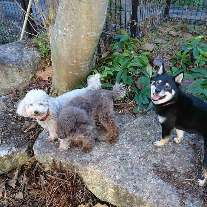 F97922ab 4c7c 4b33 ab2b ed6d1cccd11d