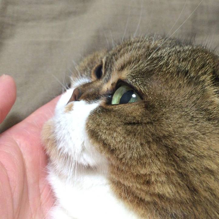 F9794847 da7c 46db a497 66899959fa05