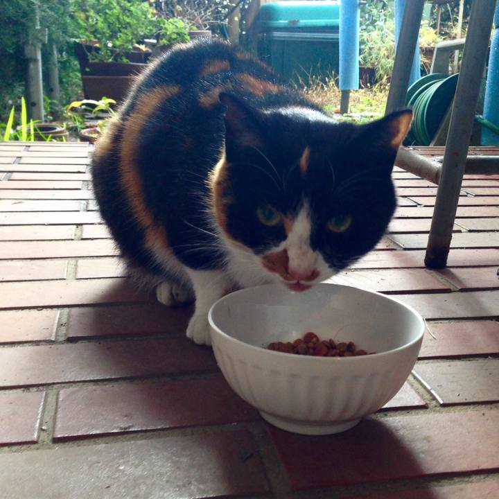 F9797227 fd88 414e 92ae 300f4c77e468