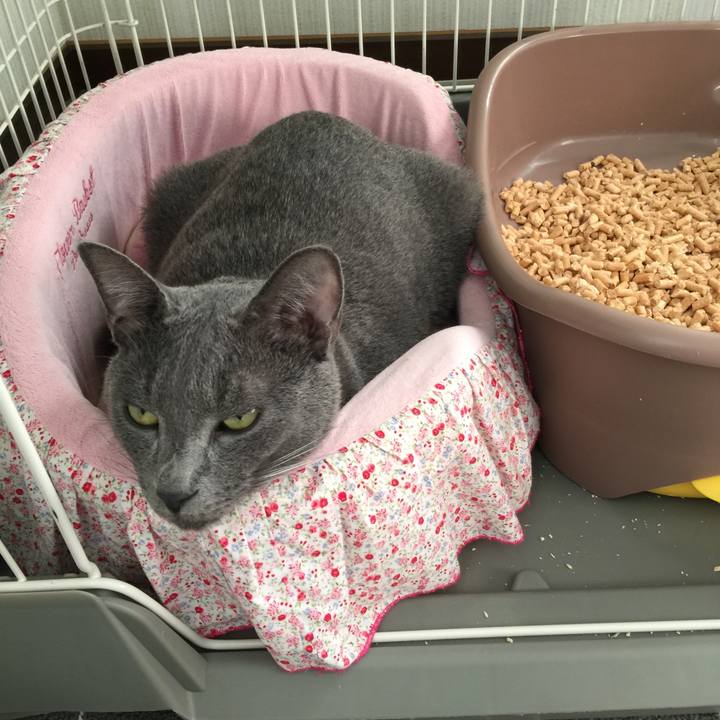 F97a51d9 1e7c 4292 9844 2ef9302eb141