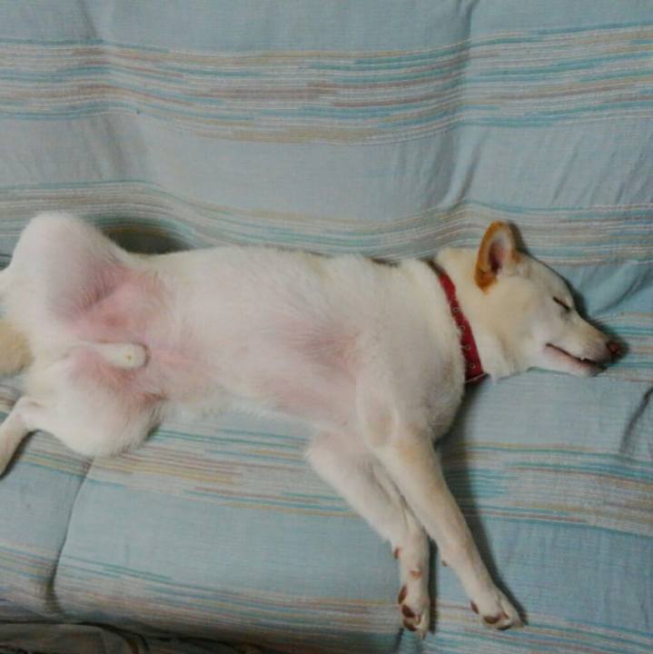 F97c075a 22fd 4f28 b53d b90b6356a706