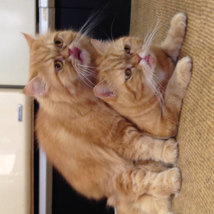 F97c3b58 b979 4a79 bf92 b18cedaaf5ef