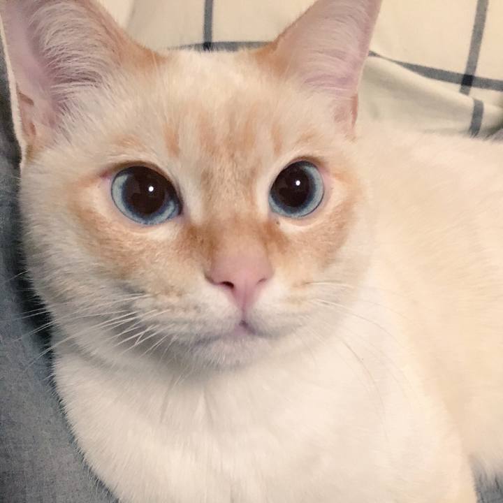 F97c941d 5fbe 42d2 b627 5fbf3977abe0