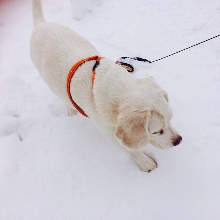 F97cc140 c566 4673 a3b2 a161dee41899