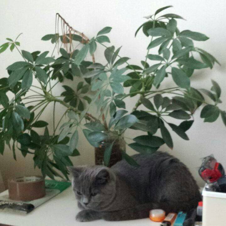 F97cea77 13b5 4323 bf6d 88366c1799a3