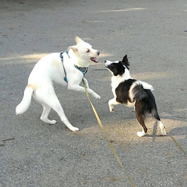 F97d0ee9 8fae 4e4b b923 a544689b4e73