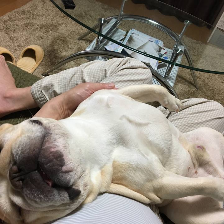 F97e76e3 b6f3 446c b6a1 746a4bbfb8c2