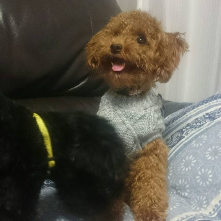 F97eabeb 325f 4fa6 b650 c047d0754645