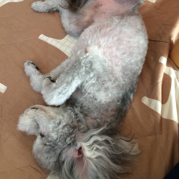 F97fd1f8 9871 43fc b7ff 7423adc783e1