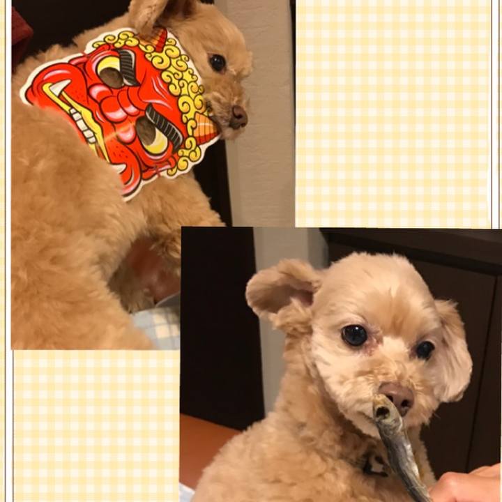 F97fed63 0ec0 47a8 b55e 7563d481892f