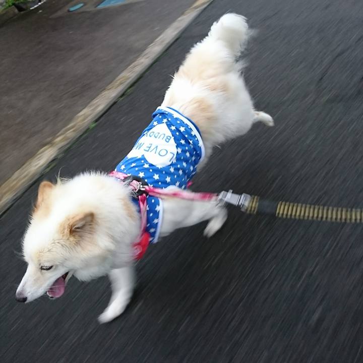 F97ff7ff 7cd3 4fa4 9161 50563ca4a630